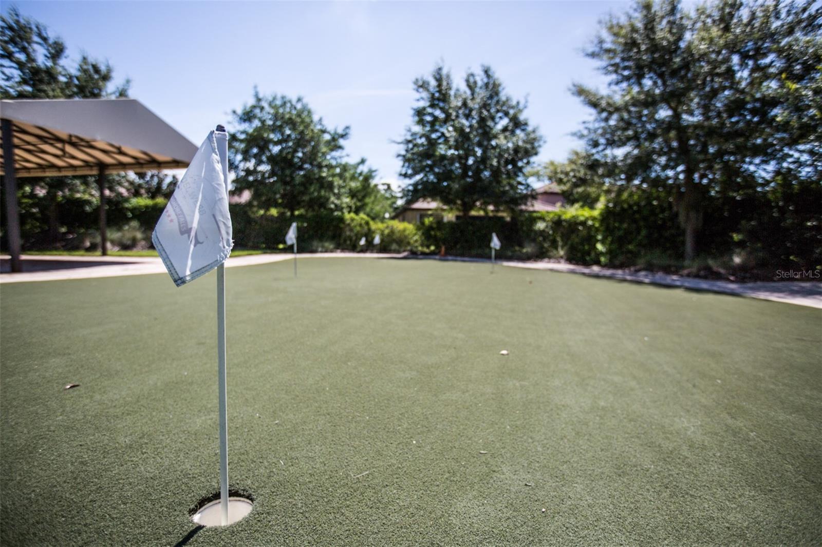 Image 45 of 53 For 313 Seneca Falls Drive