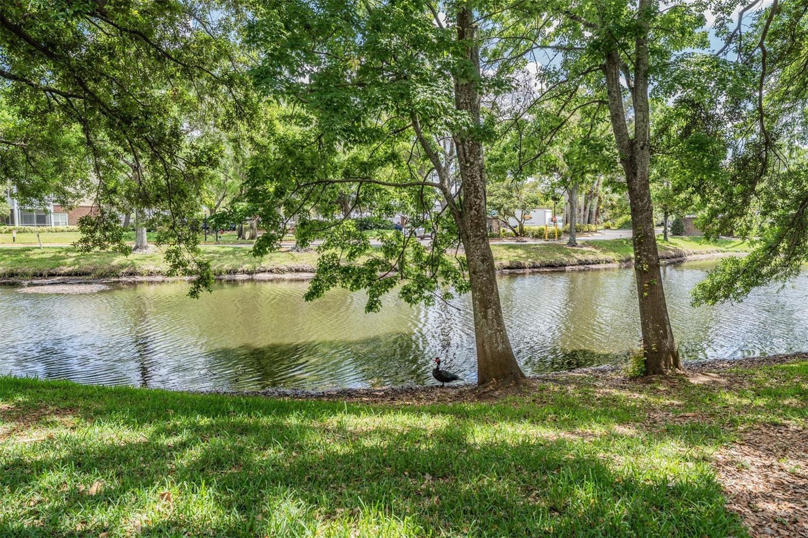 Image 21 of 26 For 10024 Strafford Oak Court 802