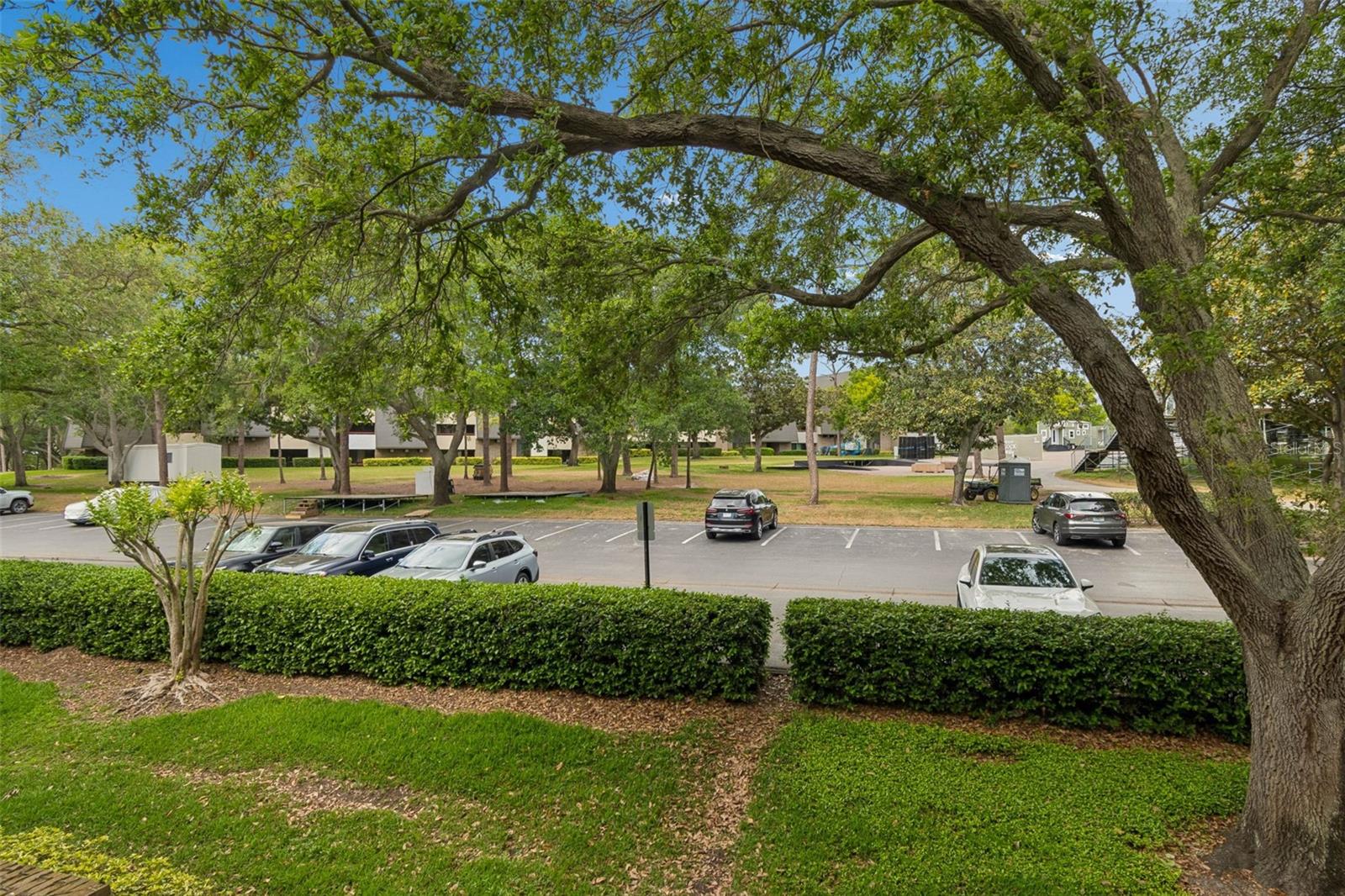 Image 41 of 71 For 36750 Us Highway 19 N 13204