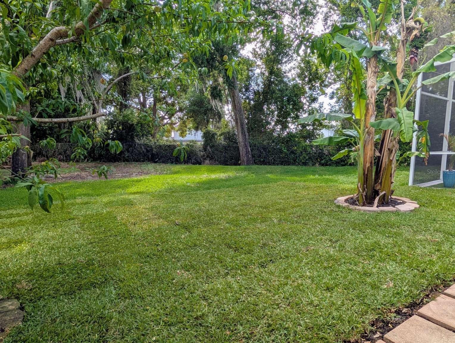 Image 25 of 36 For 556 Summerwood Drive