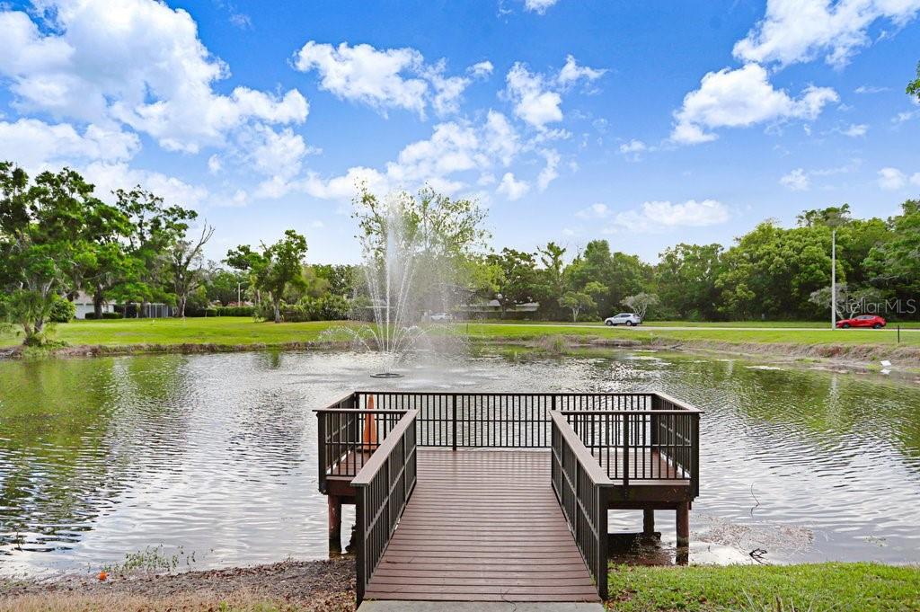 Image 35 of 51 For 13602 Village Drive 1205