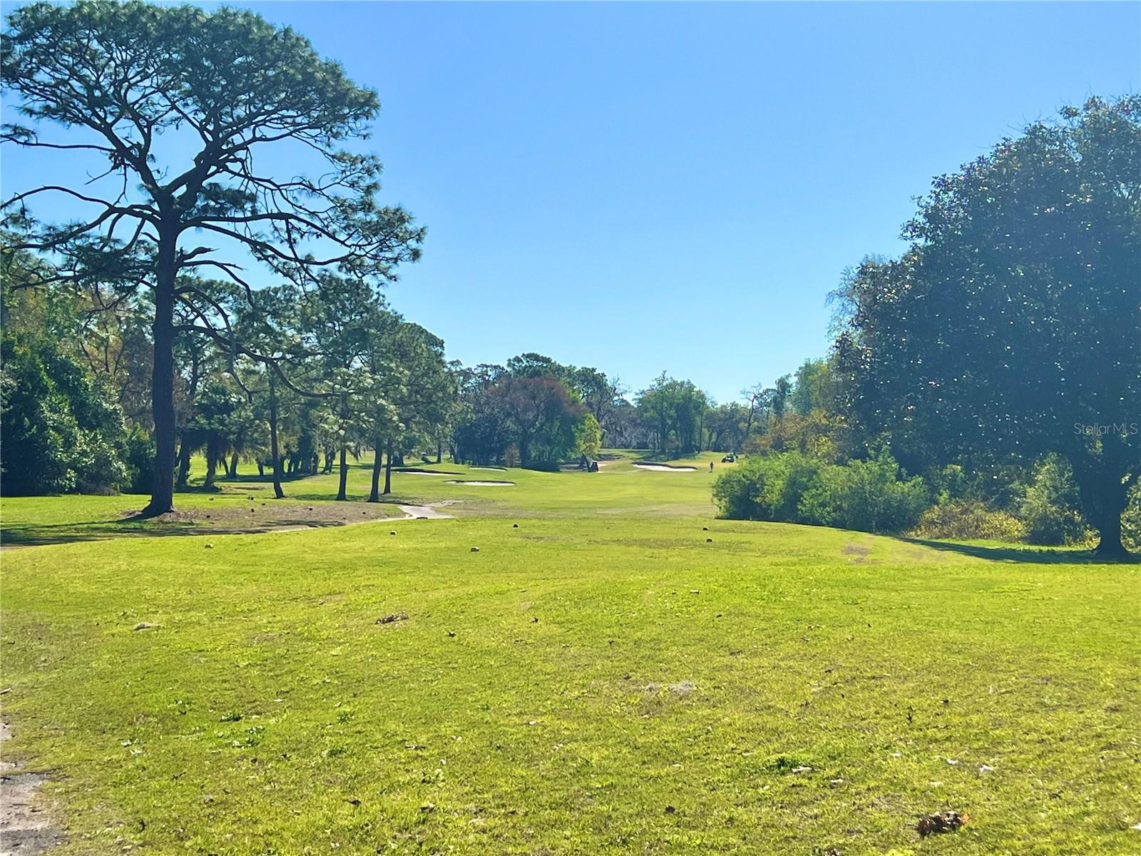 Image 18 of 19 For 17 Jamaica Street