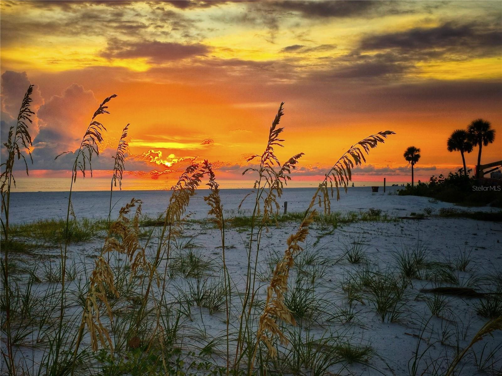 Listing photo id 23 for 13500 Gulf Boulevard 702