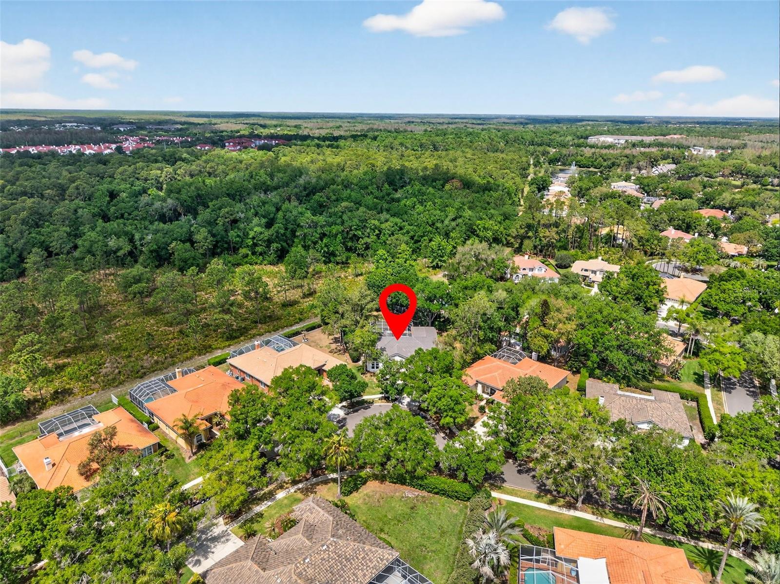 Image 41 of 50 For 17805 Green Willow Drive