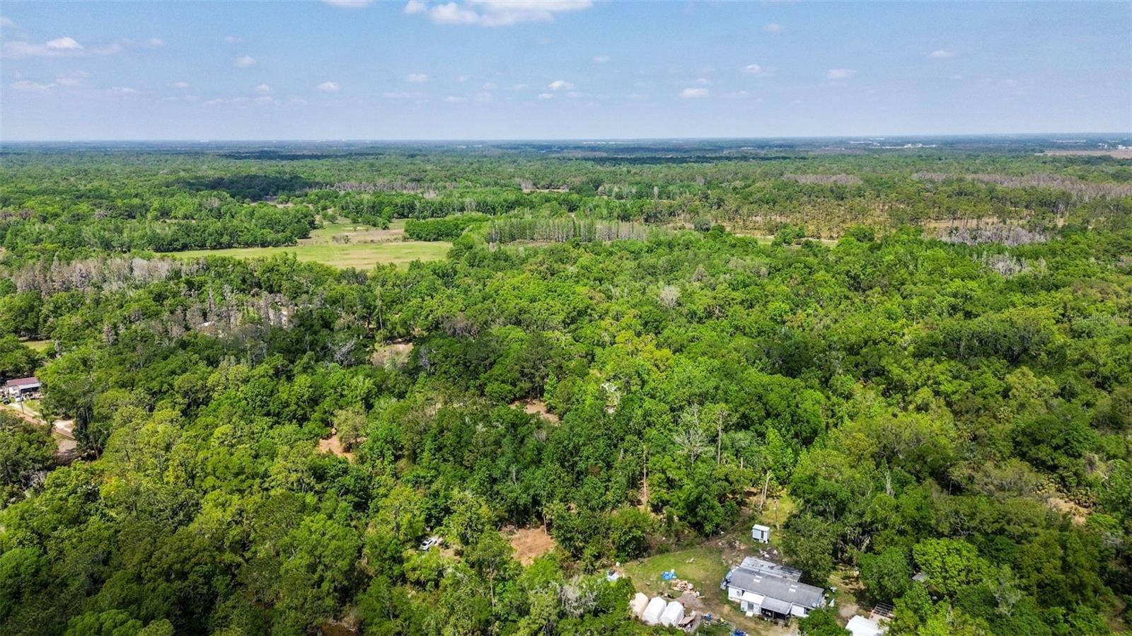 Listing photo id 8 for 0 Muddy Water Trail