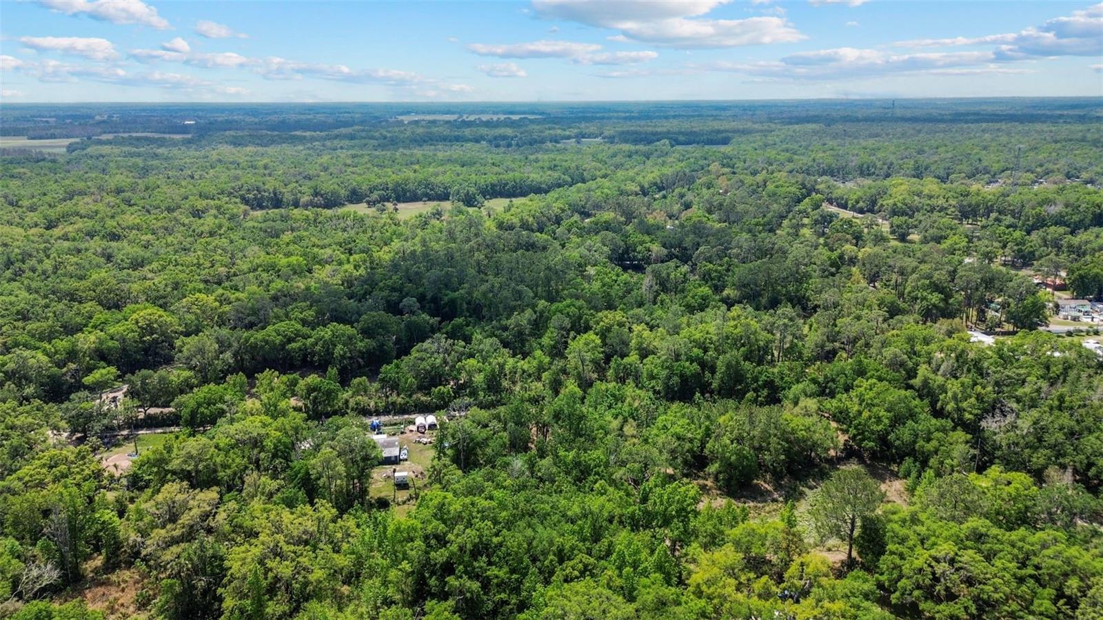 Listing photo id 12 for 0 Muddy Water Trail