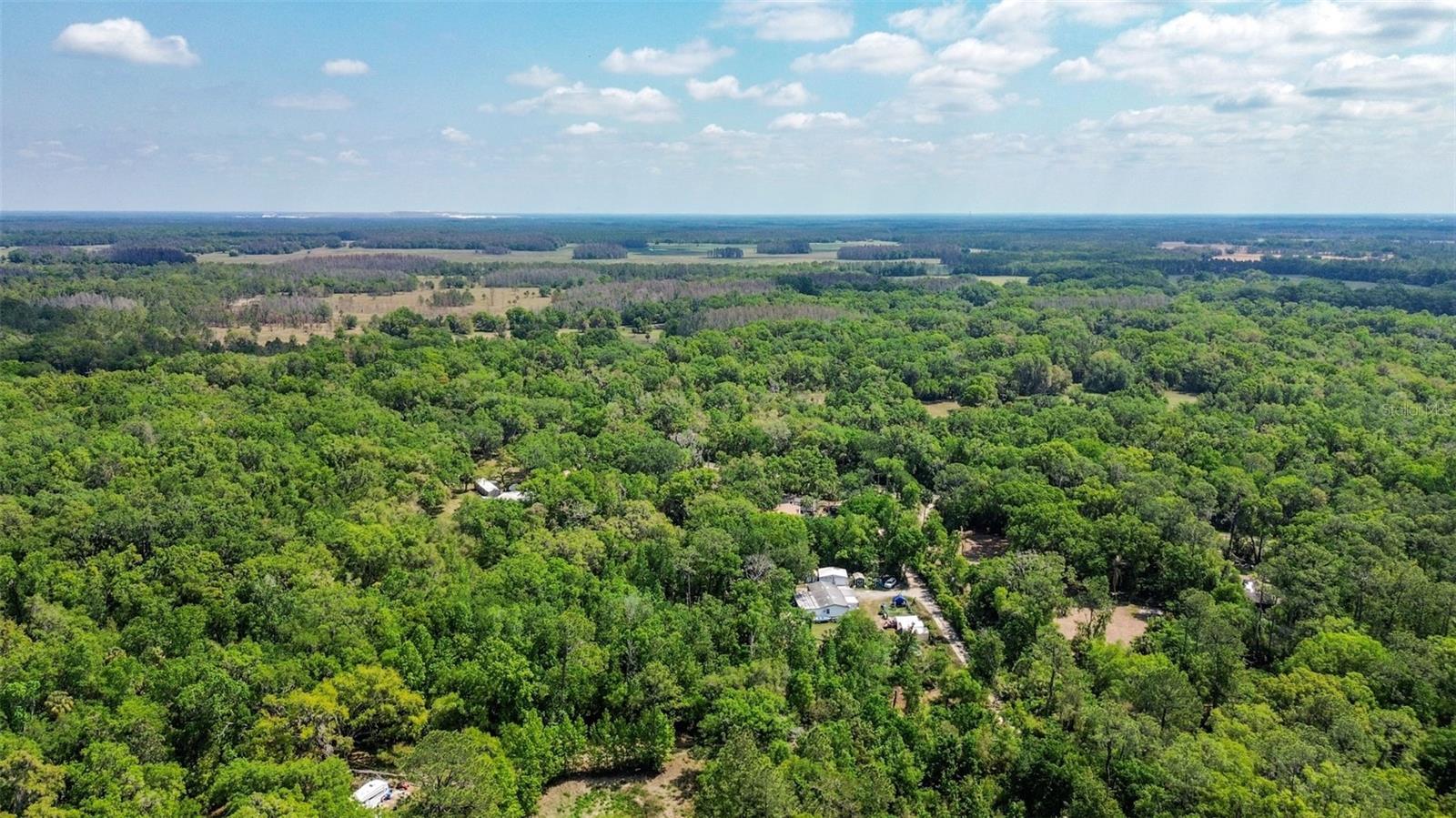 Listing photo id 13 for 0 Muddy Water Trail