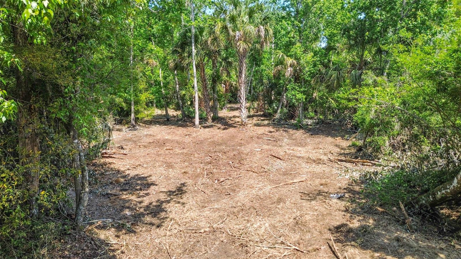 Listing photo id 16 for 0 Muddy Water Trail