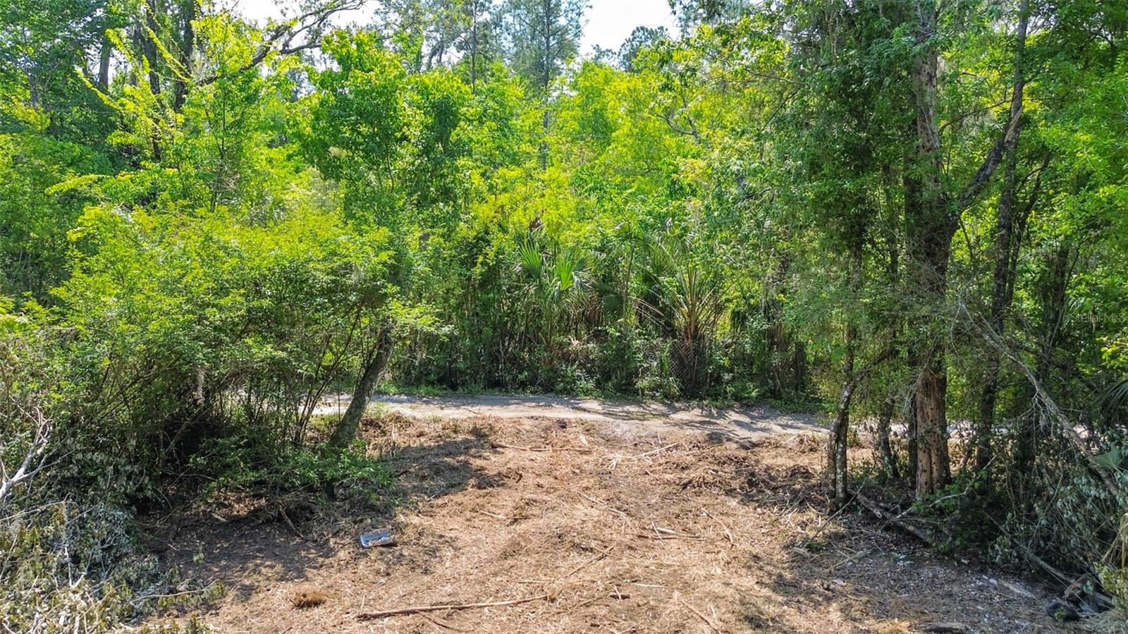 Listing photo id 17 for 0 Muddy Water Trail