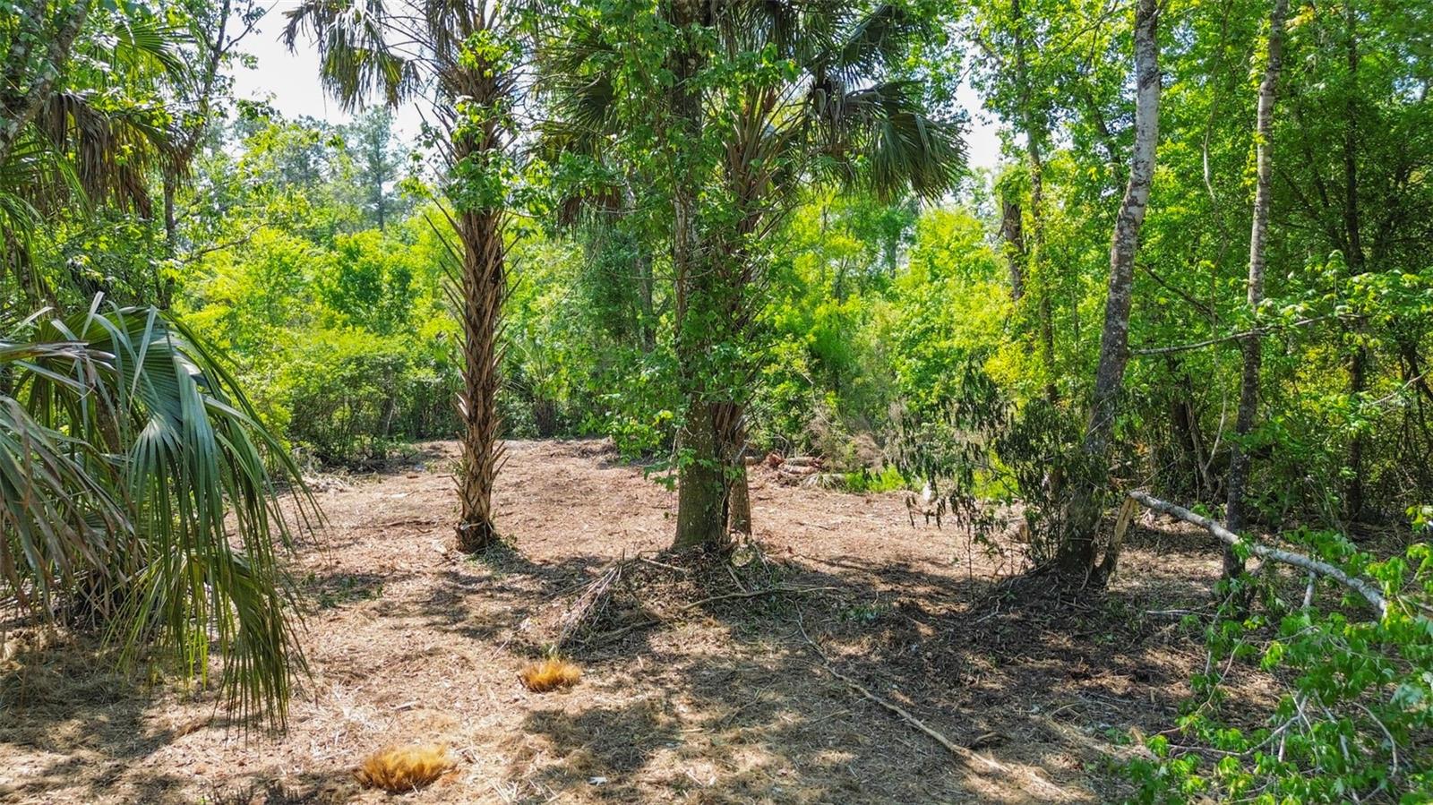 Listing photo id 18 for 0 Muddy Water Trail