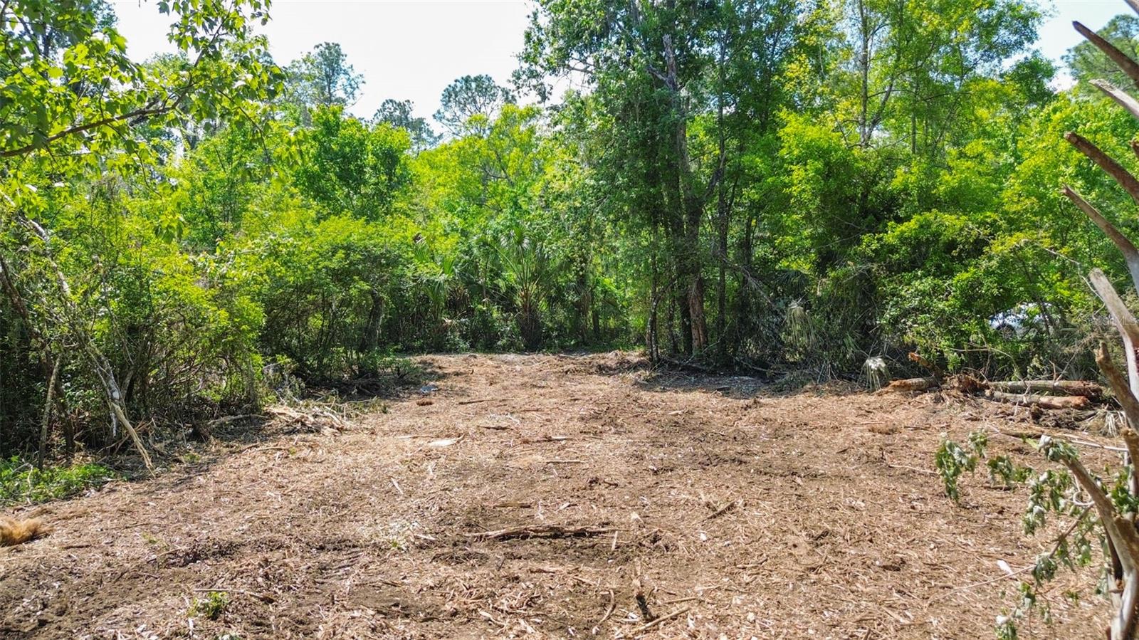 Listing photo id 19 for 0 Muddy Water Trail