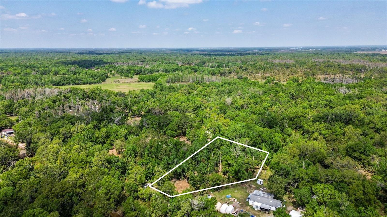 Listing photo id 21 for 0 Muddy Water Trail