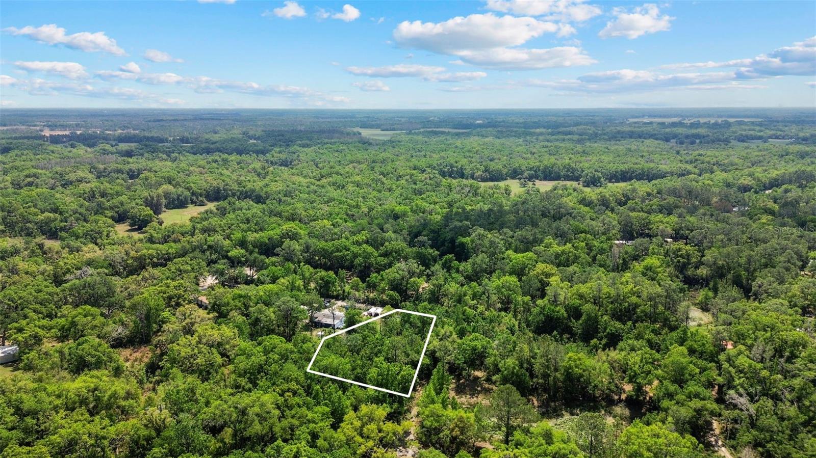 Listing photo id 26 for 0 Muddy Water Trail