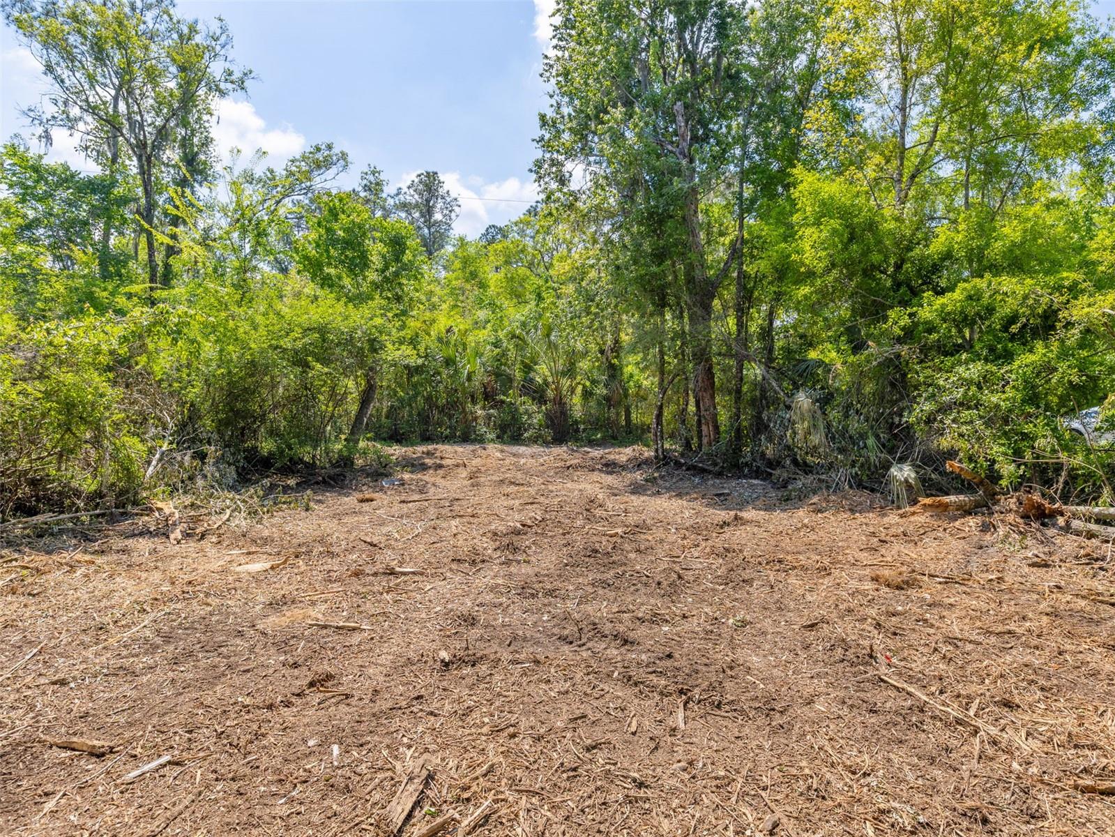 Listing photo id 2 for 0 Muddy Water Trail