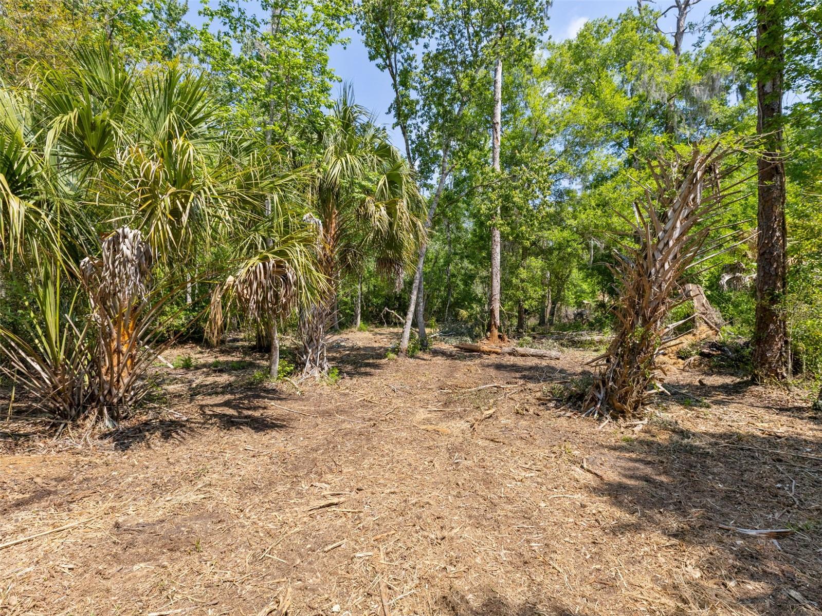 Listing photo id 3 for 0 Muddy Water Trail