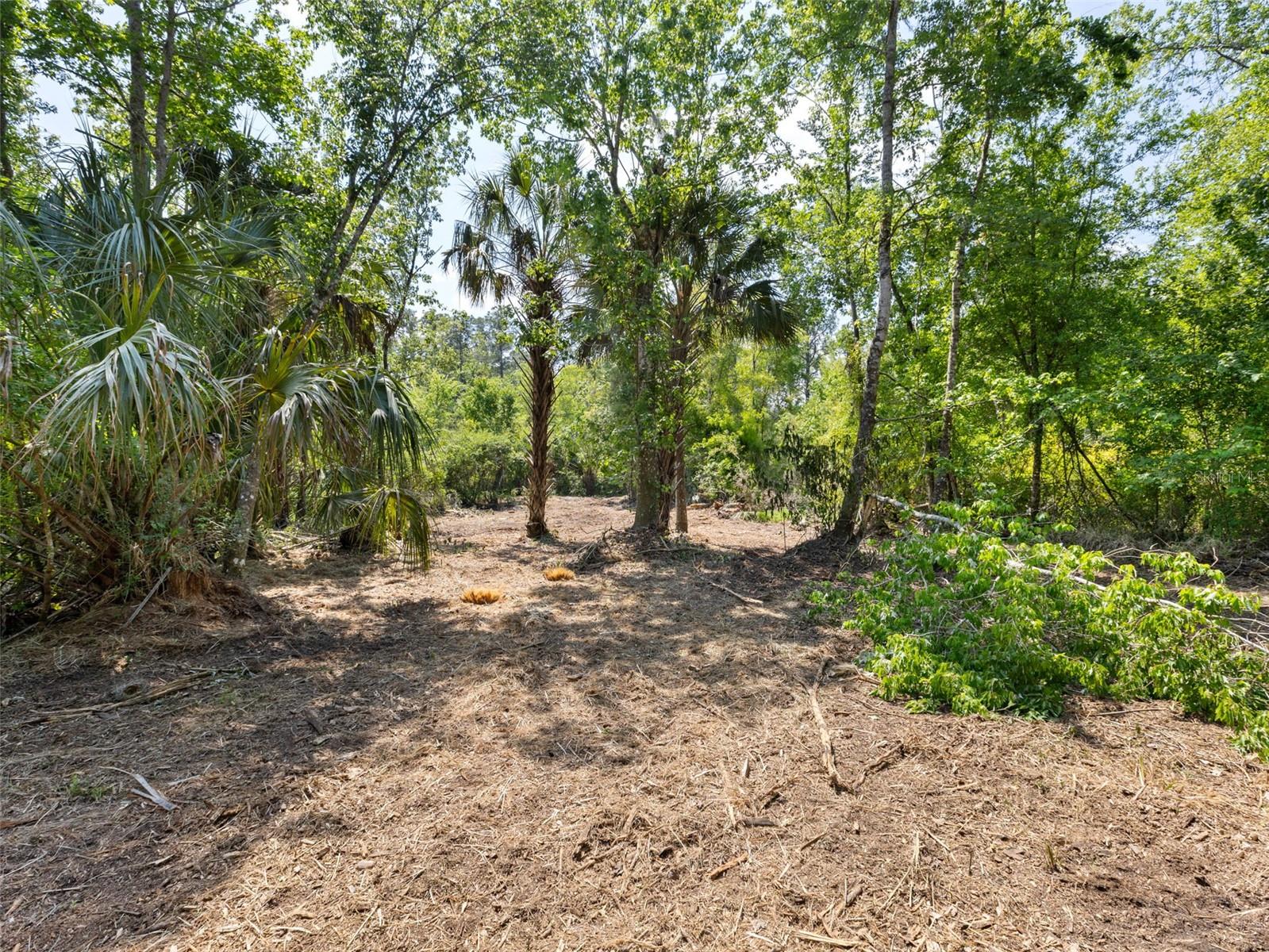 Listing photo id 4 for 0 Muddy Water Trail