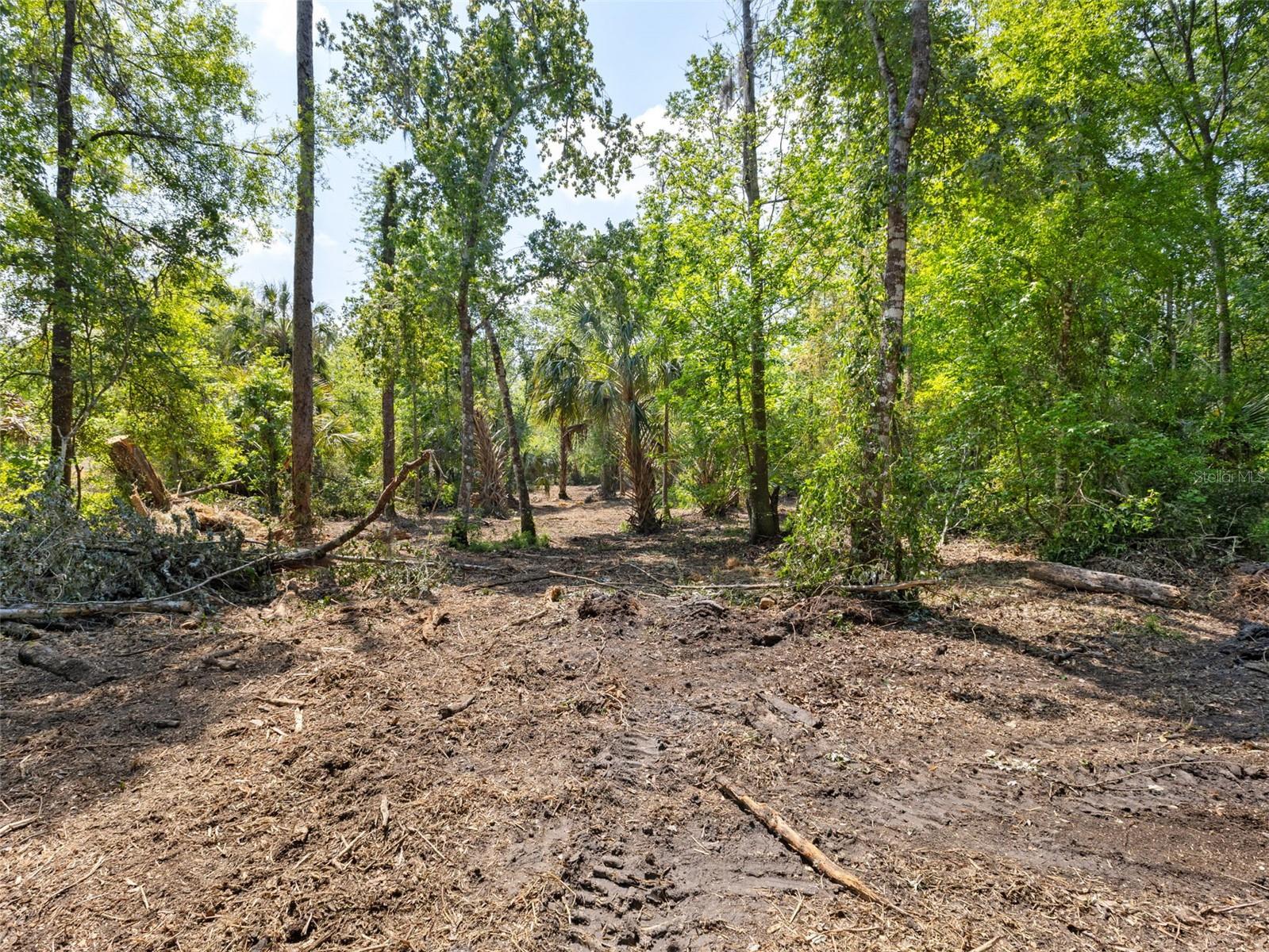 Listing photo id 5 for 0 Muddy Water Trail