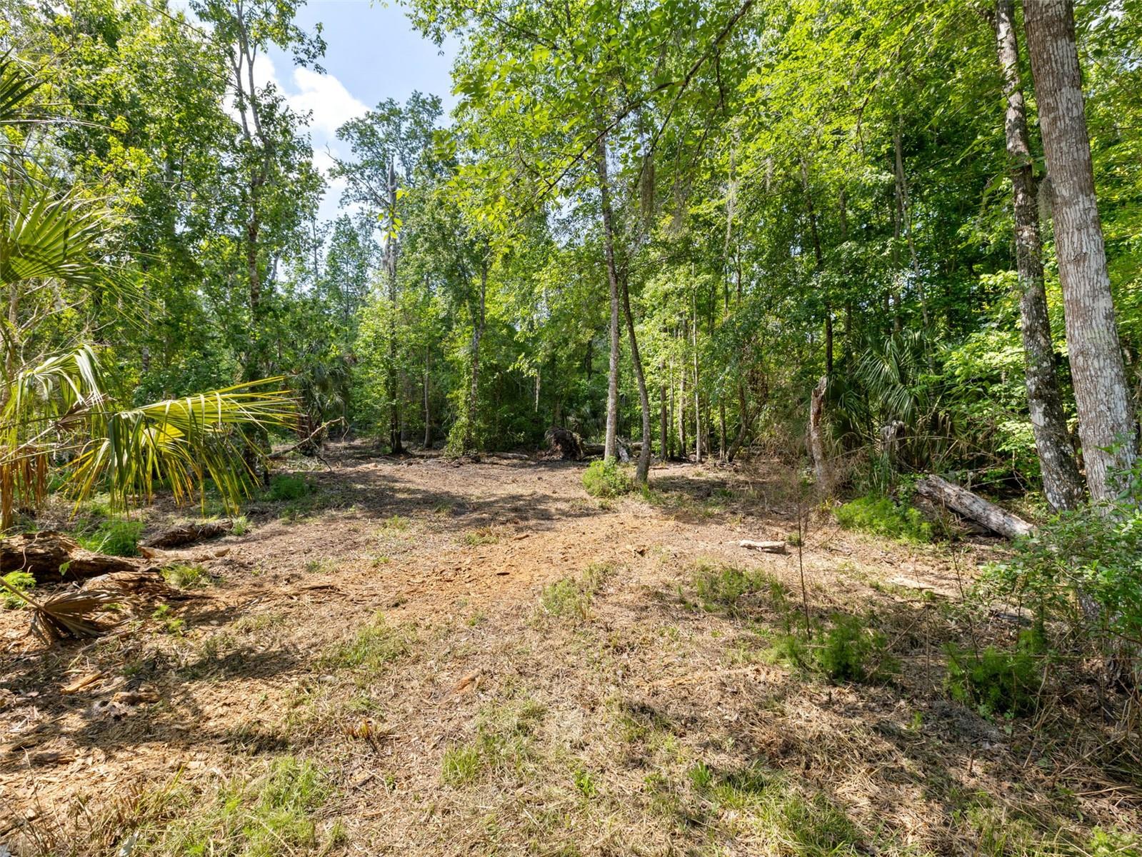 Listing photo id 6 for 0 Muddy Water Trail