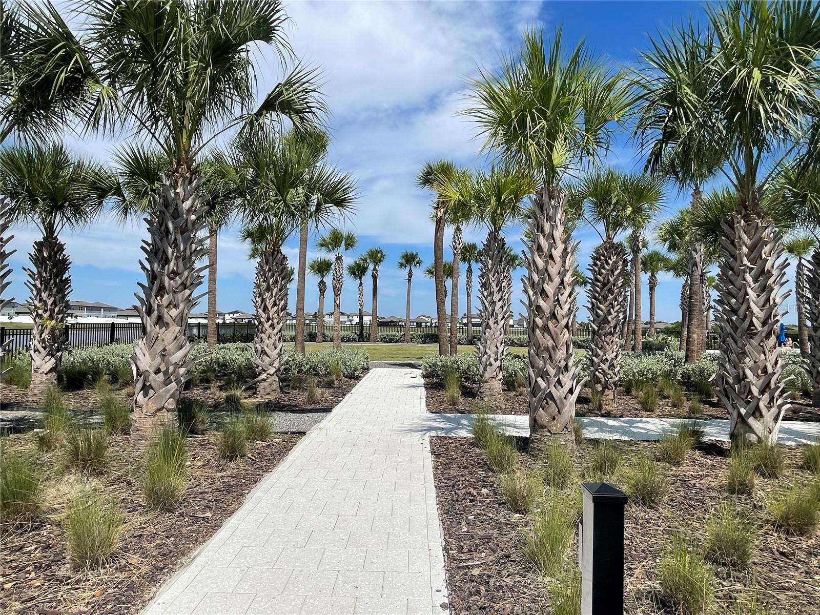 Image 27 of 33 For 590 Sunlit Coral Street