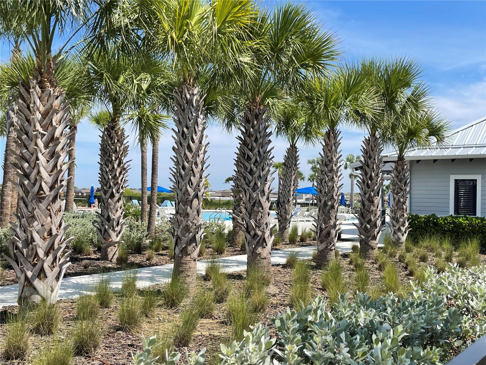 Image 28 of 33 For 590 Sunlit Coral Street