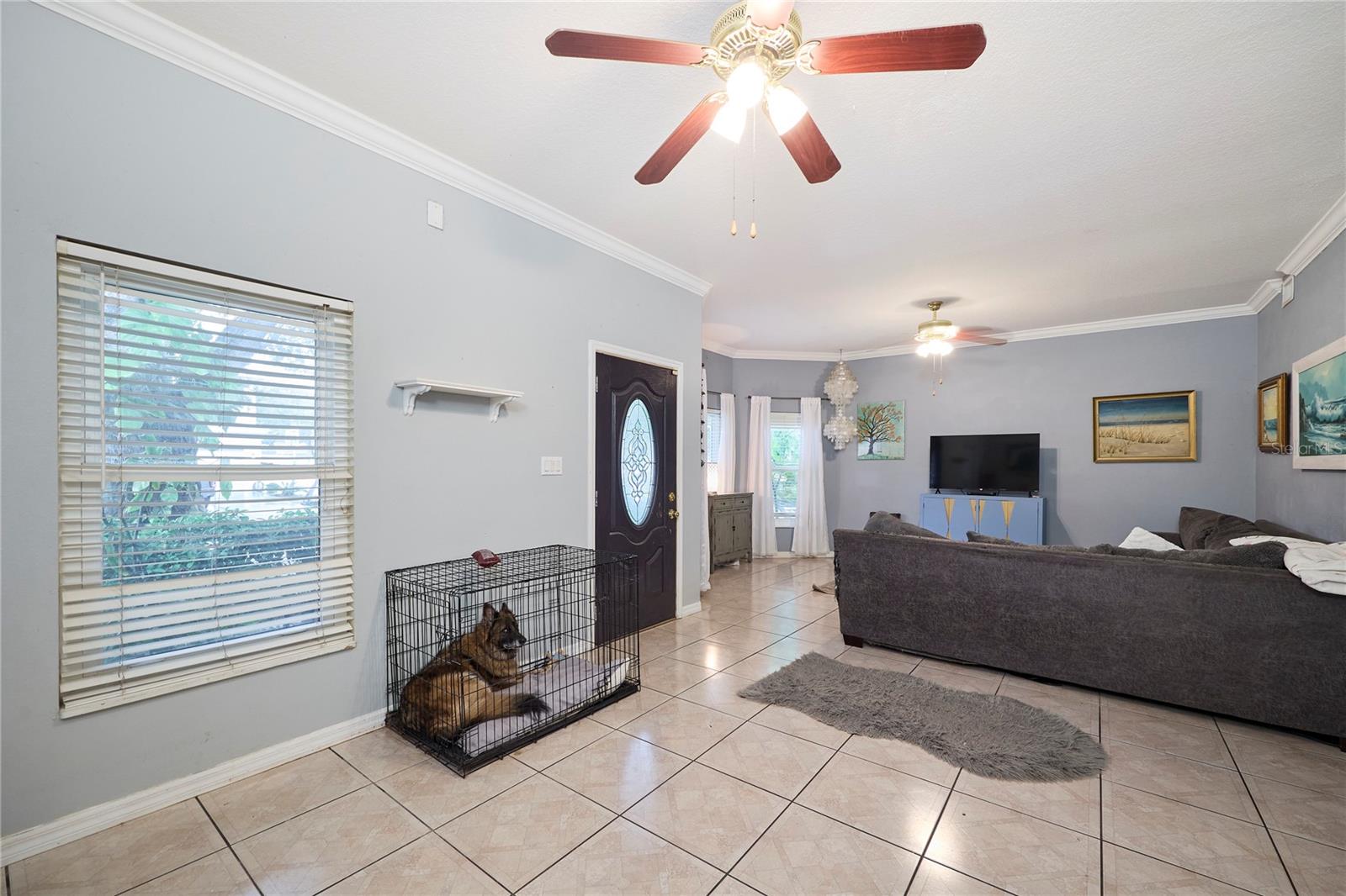 Image 10 of 54 For 7306 Mascotte Street