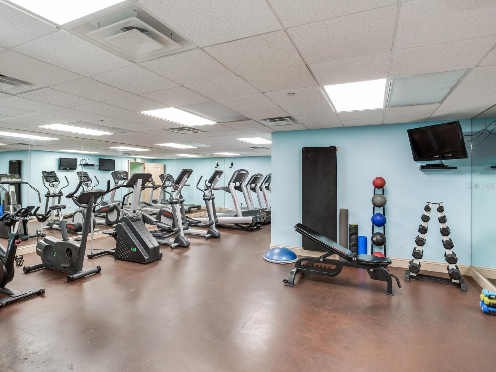 Image 24 of 35 For 345 Bayshore Boulevard 1708