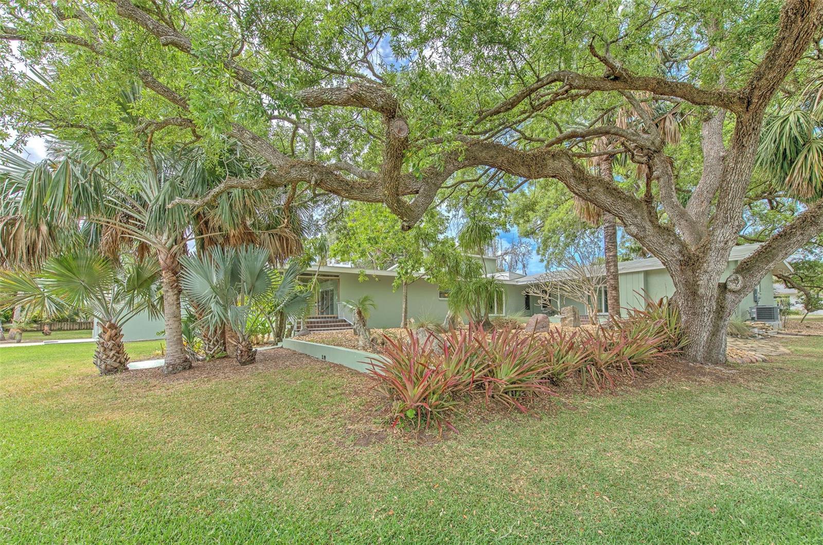 Listing photo id 59 for 7102 Mandy Lane