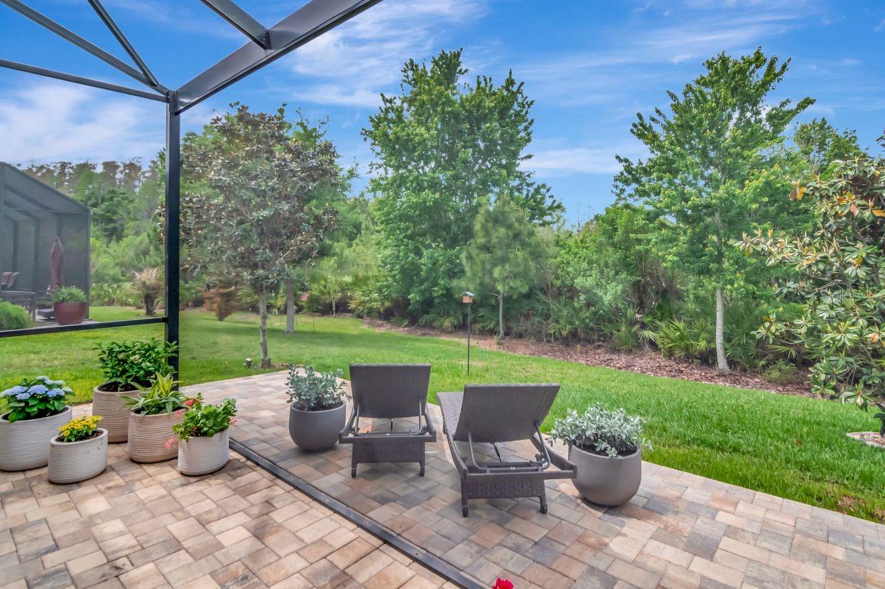 Image 29 of 46 For 4169 Barletta Court