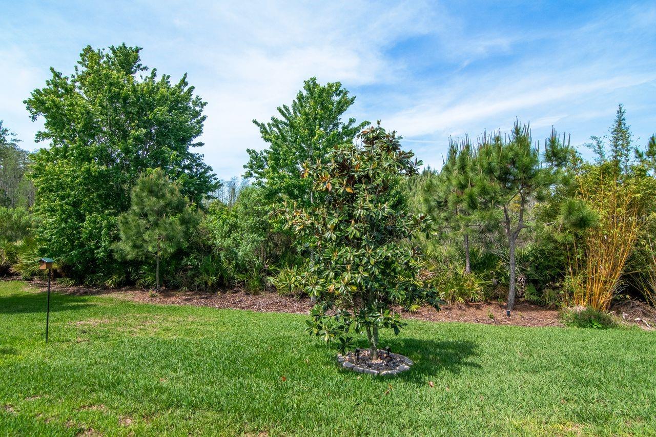 Image 32 of 46 For 4169 Barletta Court