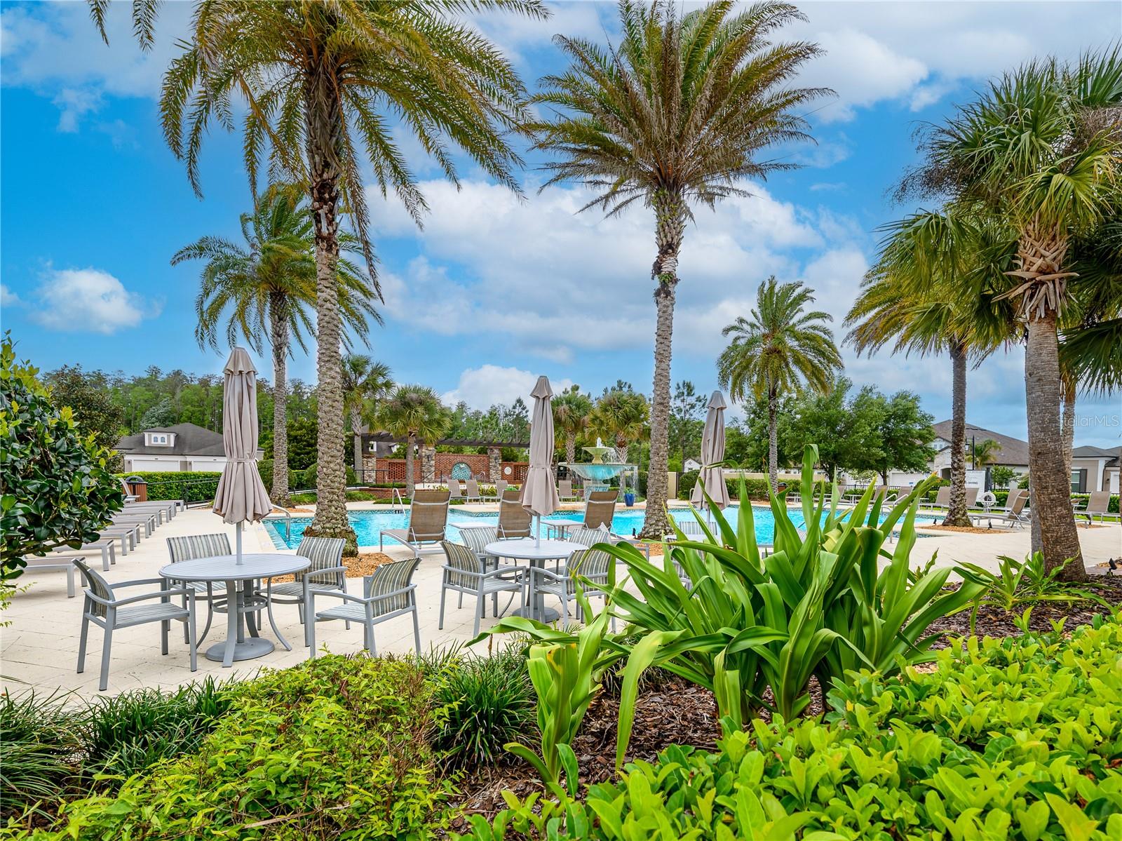 Image 35 of 36 For 4521 Barletta Court