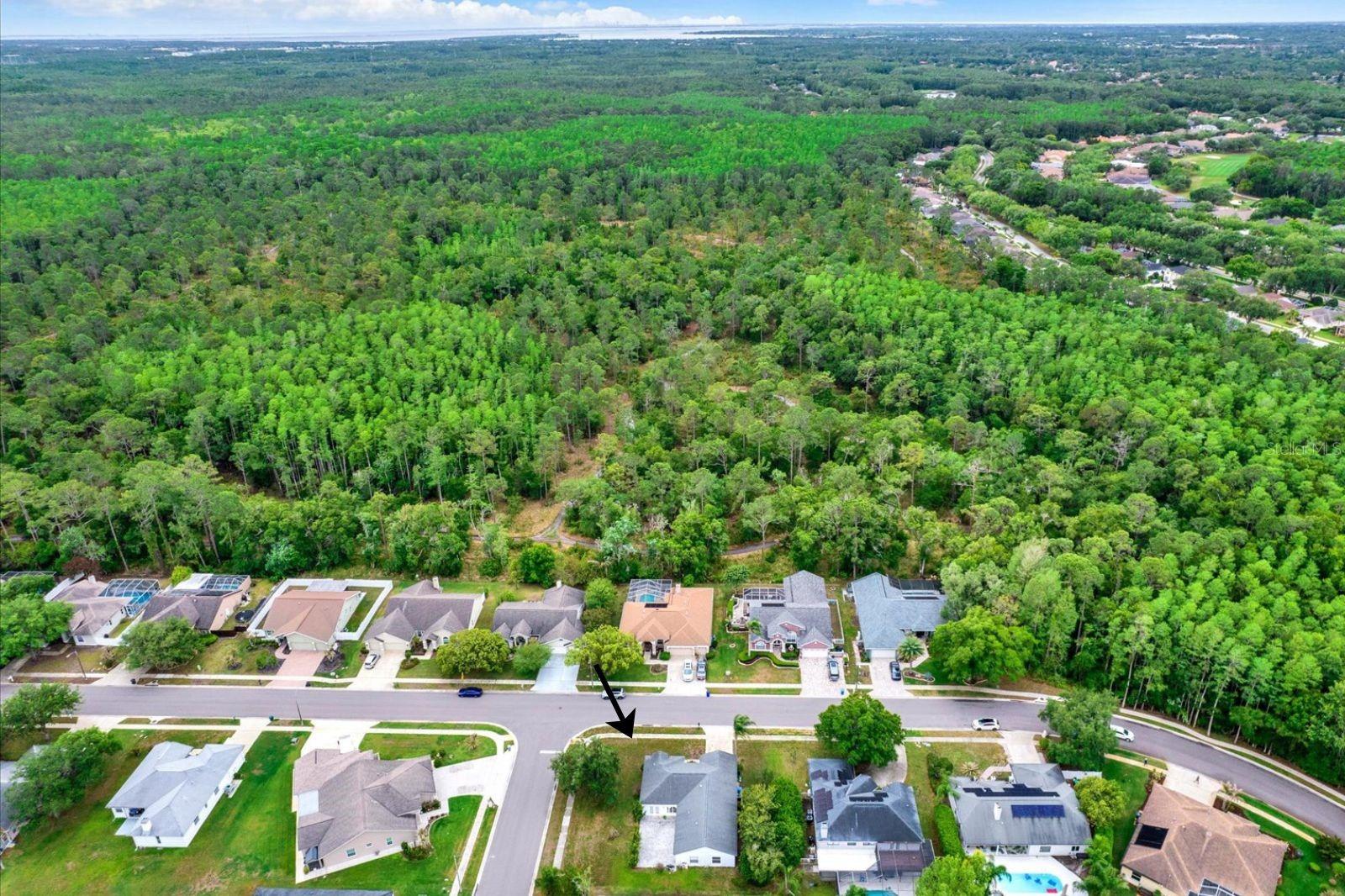 Image 33 of 33 For 2433 Saddlewood Lane