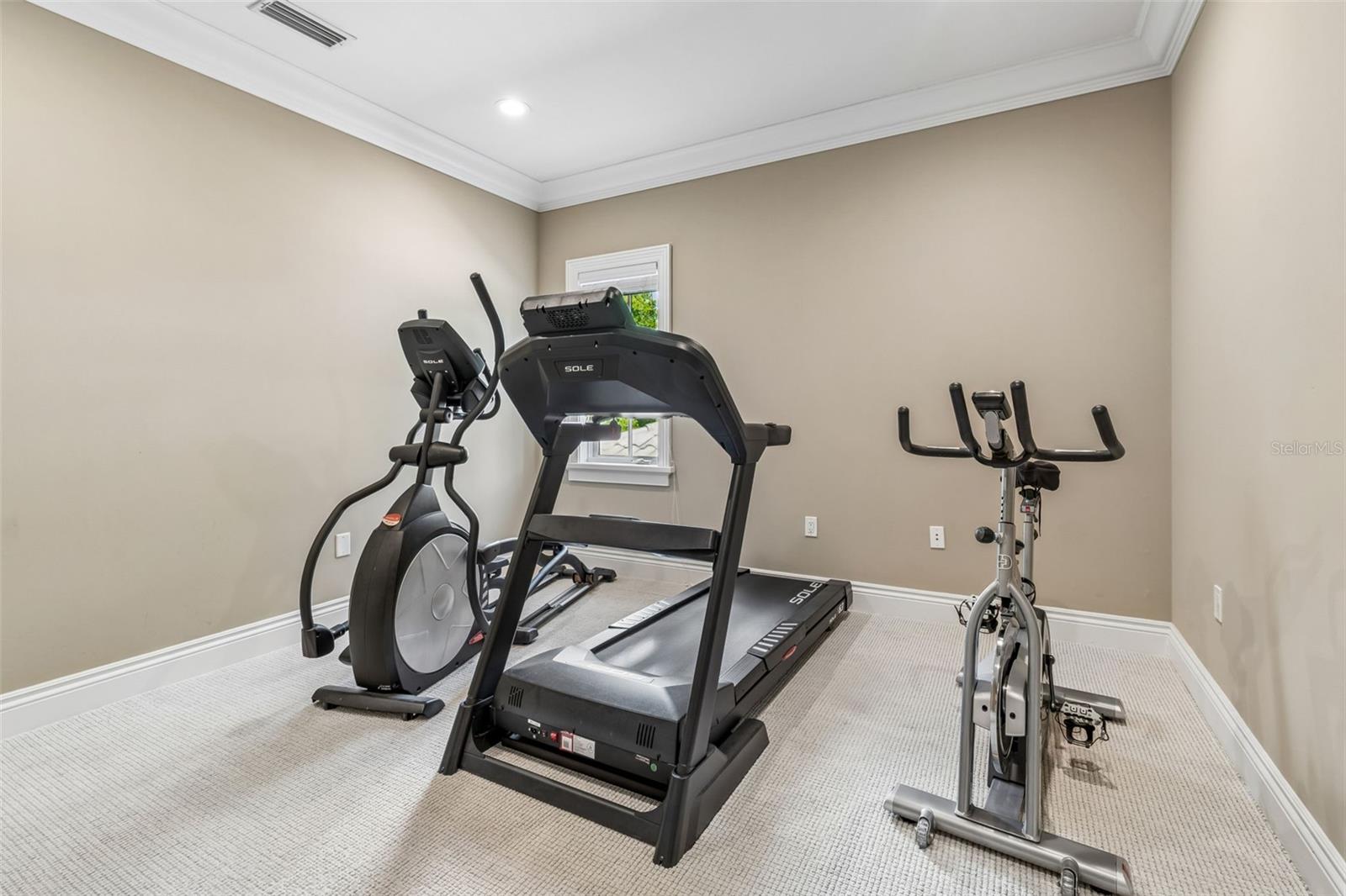 Listing photo id 36 for 4804 Culbreath Isles Road