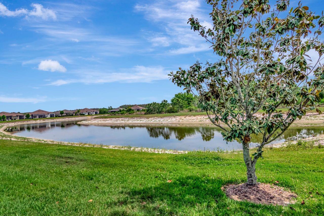 Listing photo id 29 for 4170 Barletta Court