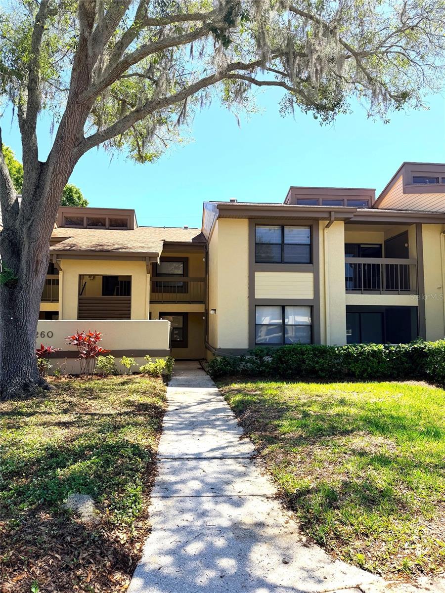 Details for 260 Woodlake E #260, OLDSMAR, FL 34677