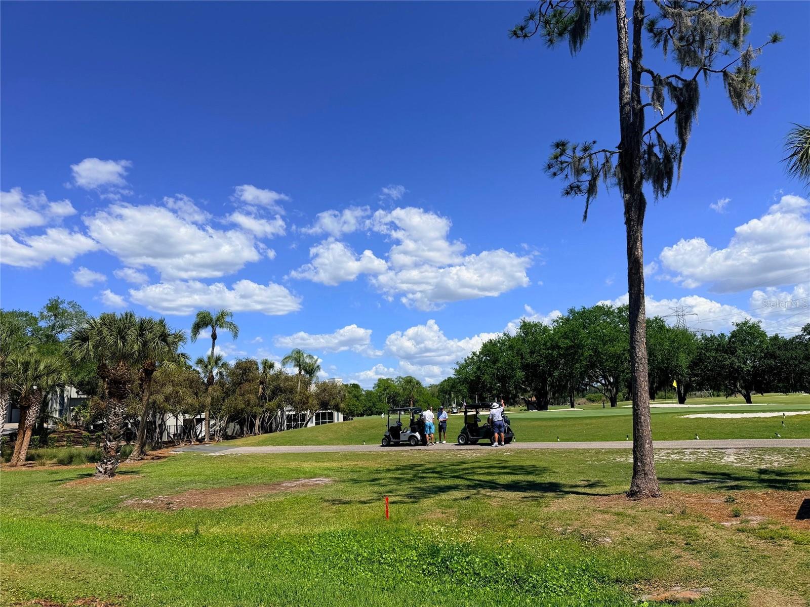 Image 24 of 30 For 260 Woodlake E #260