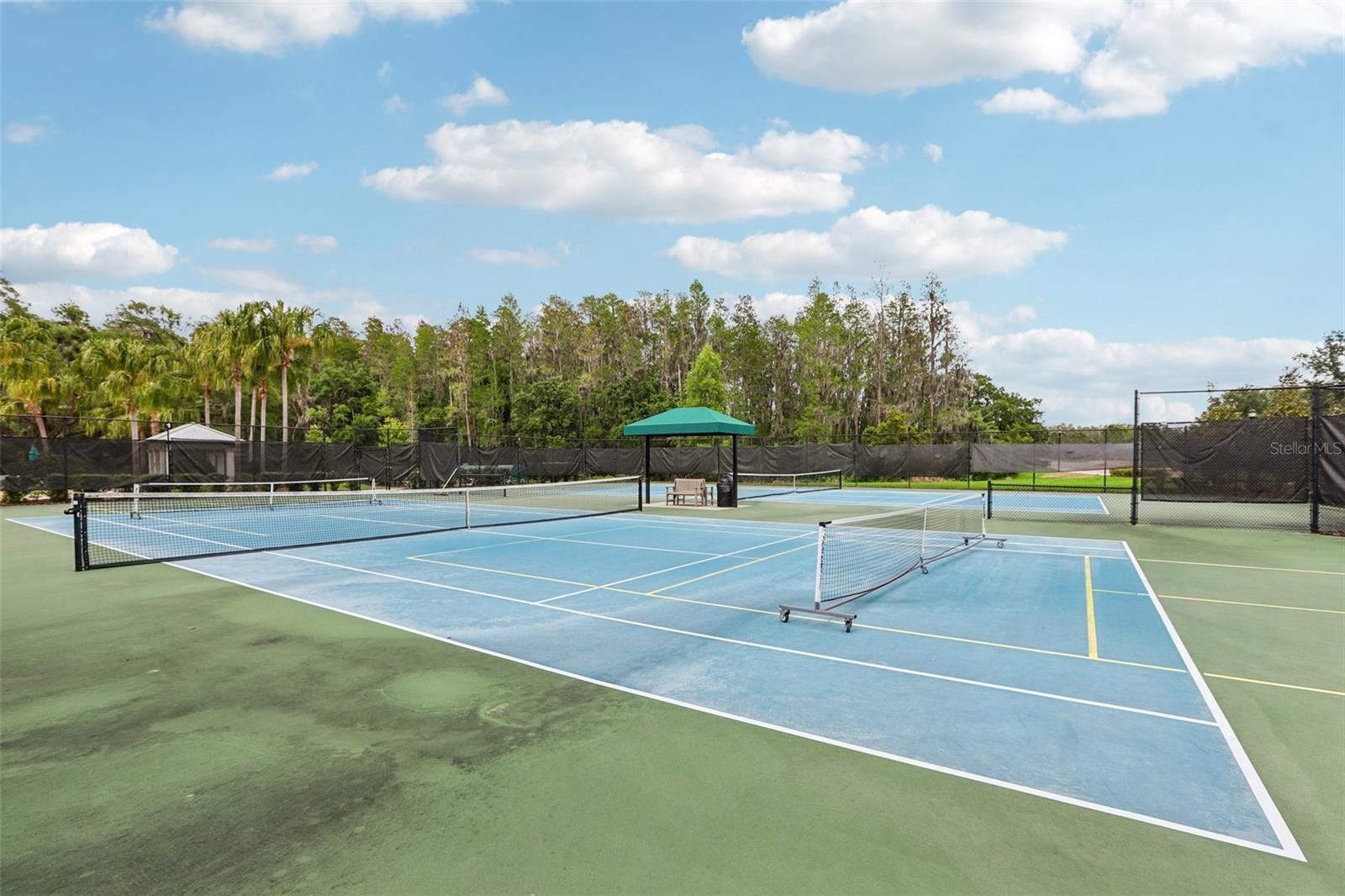 Listing photo id 34 for 10740 Pleasant Knoll Drive