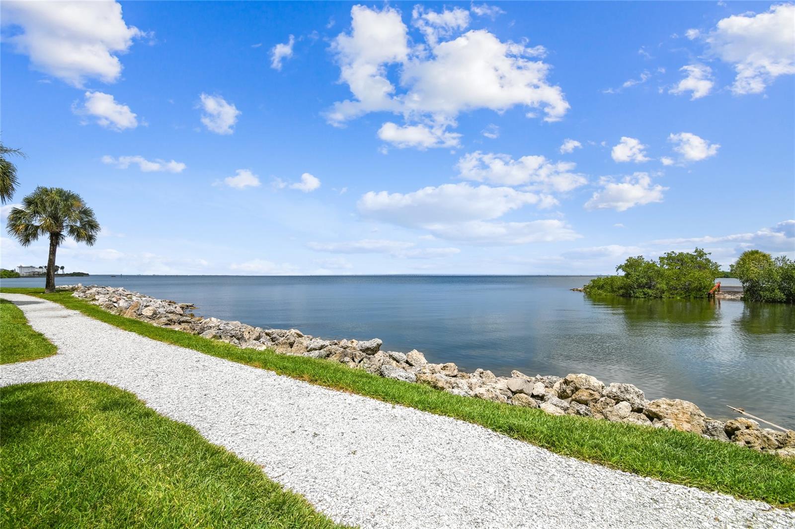 Image 54 of 99 For 5000 Culbreath Key Way 8-109