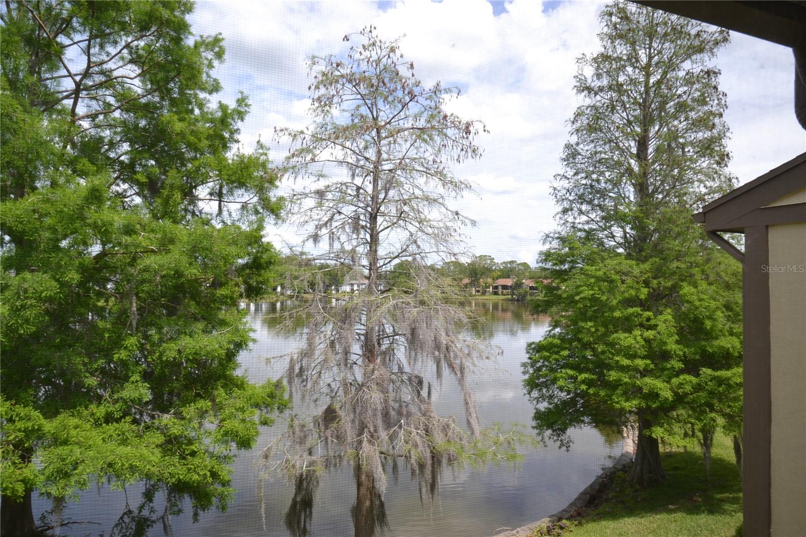 Image 20 of 43 For 284 Woodlake Wynde