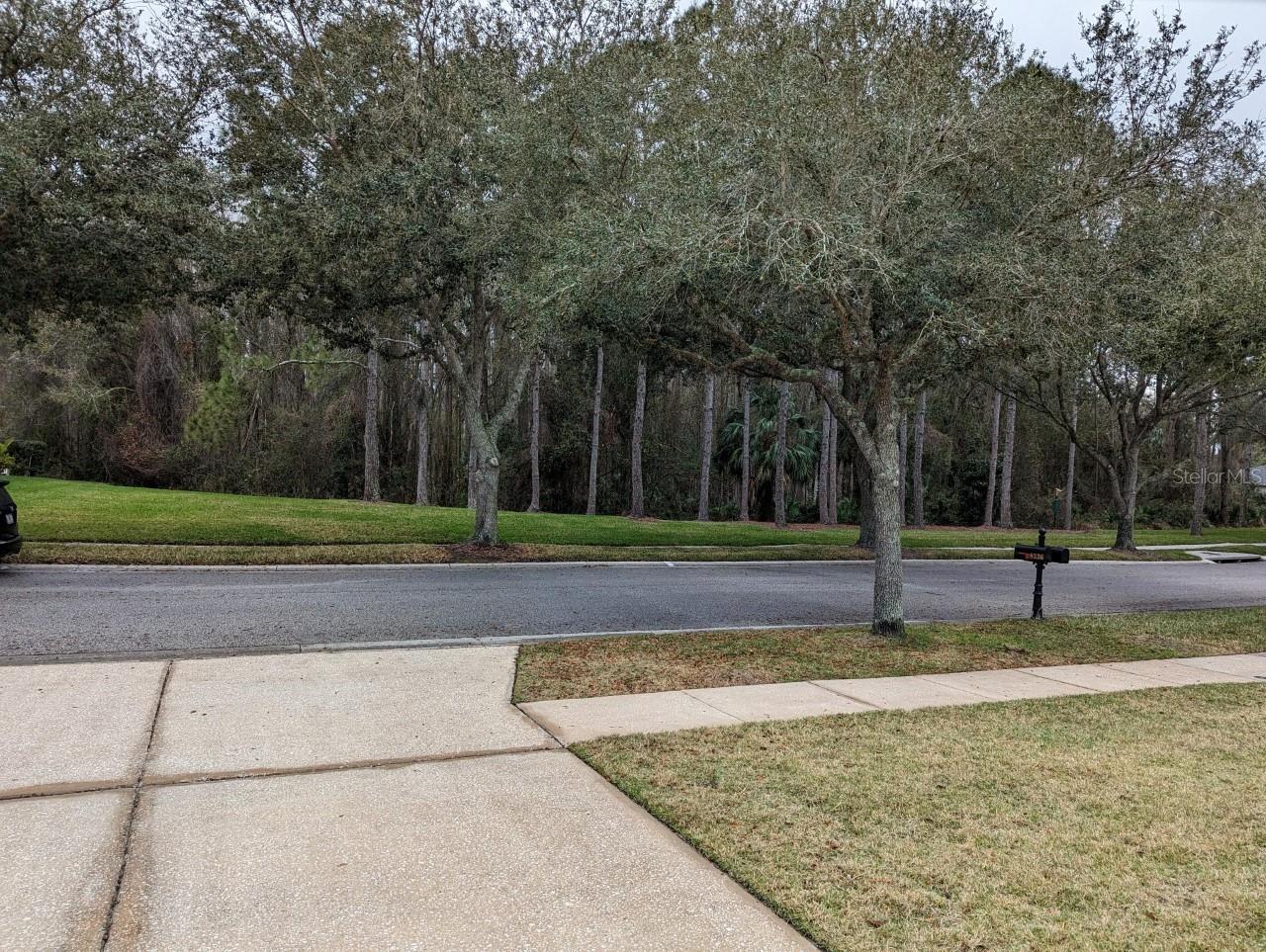 Image 3 of 38 For 8336 Torrington Avenue