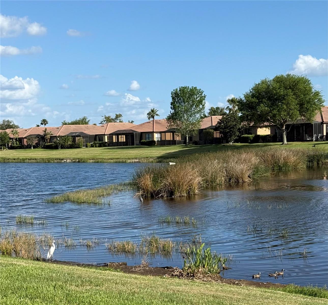 Image 5 of 65 For 352 Laurel Falls Drive