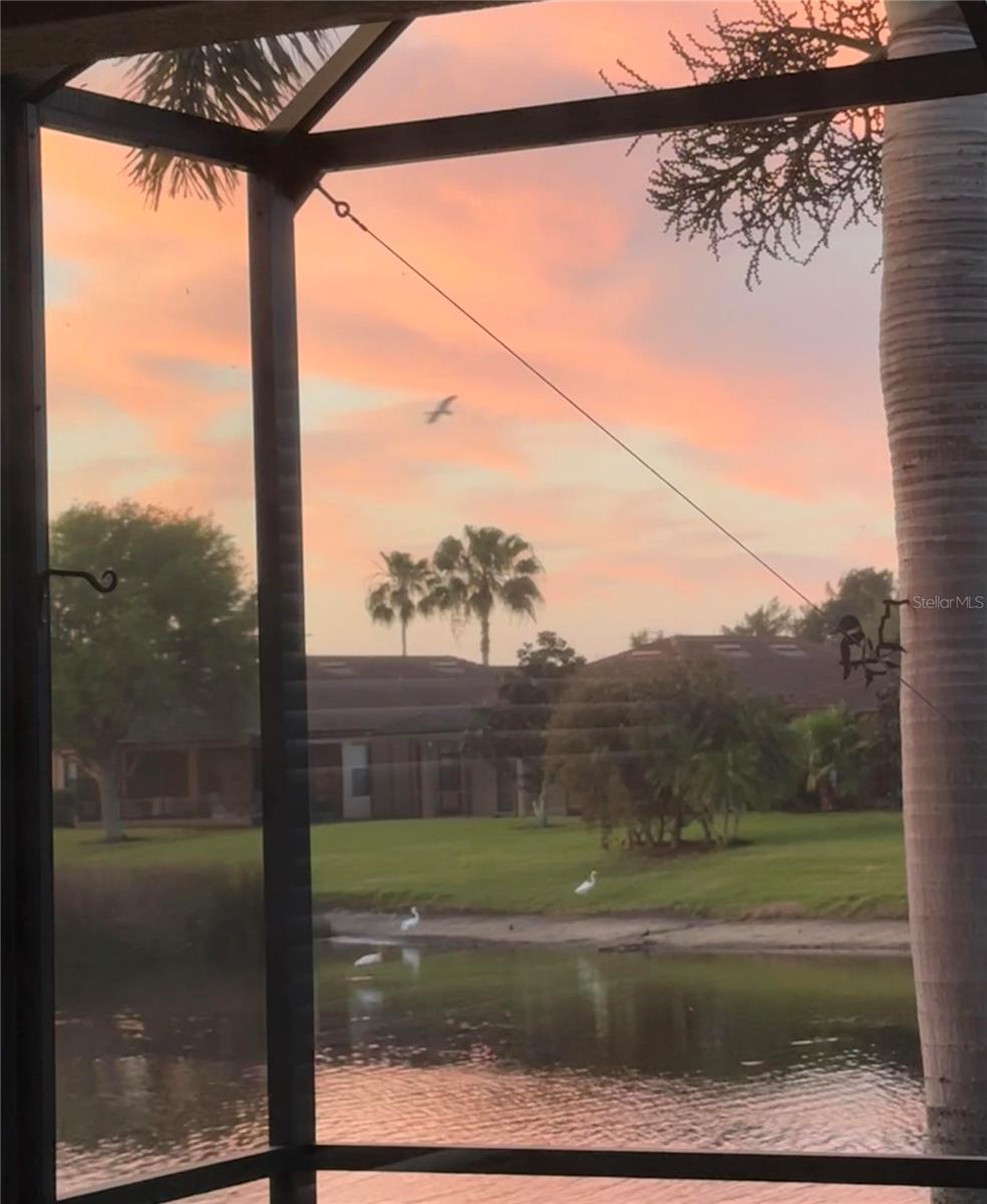 Image 8 of 65 For 352 Laurel Falls Drive