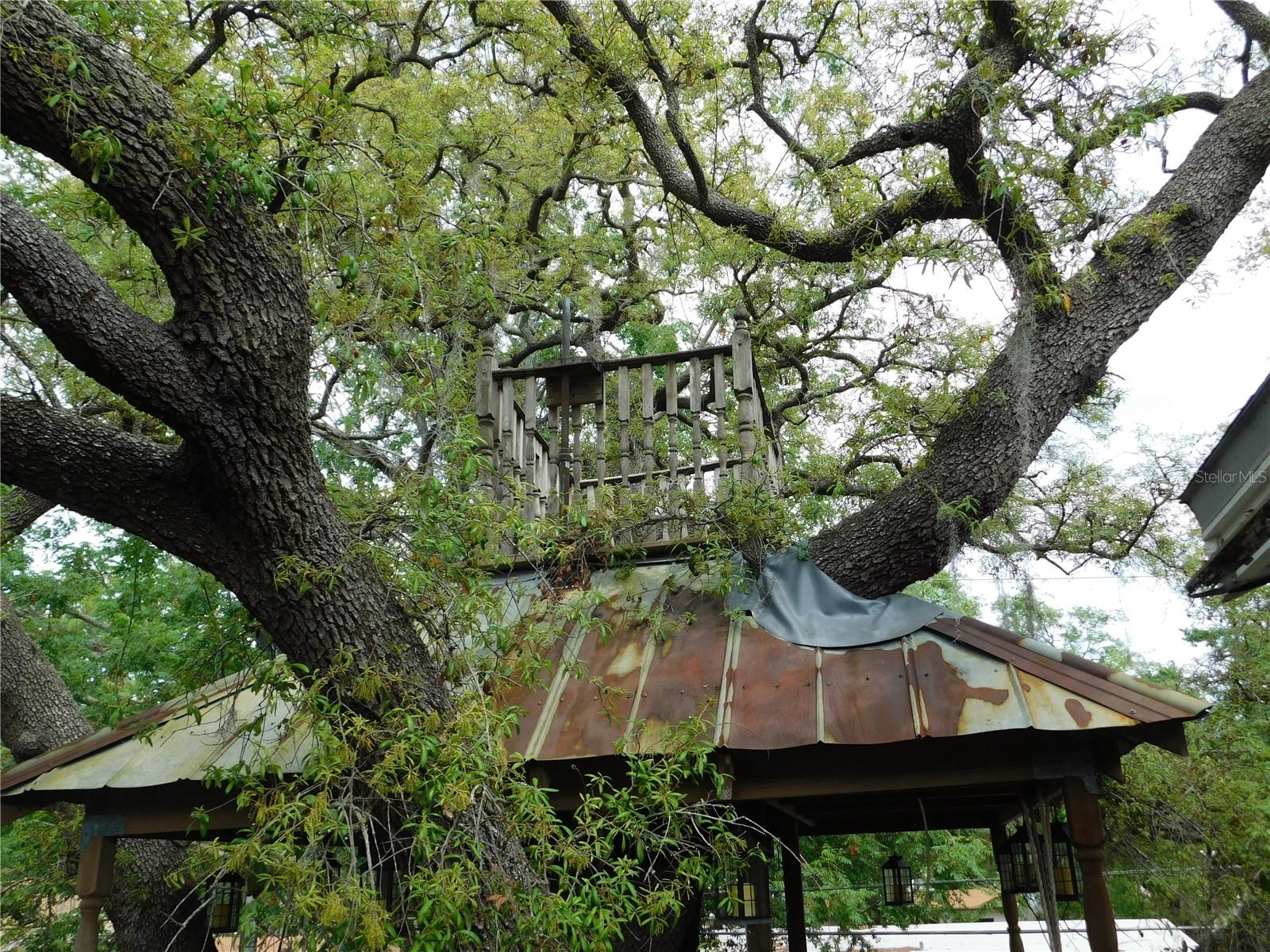 Image 39 of 62 For 155 Marshall Street