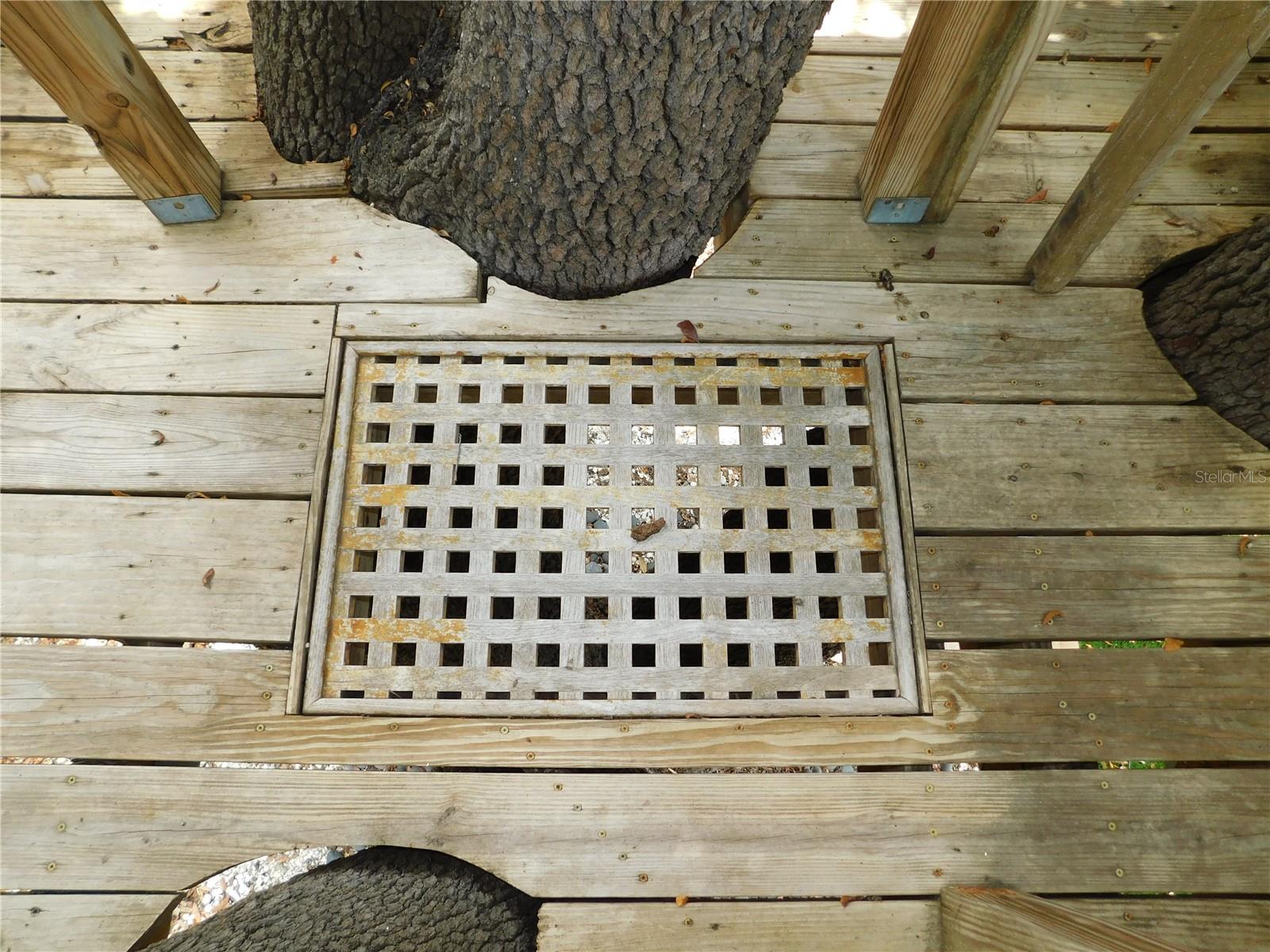 Image 47 of 62 For 155 Marshall Street