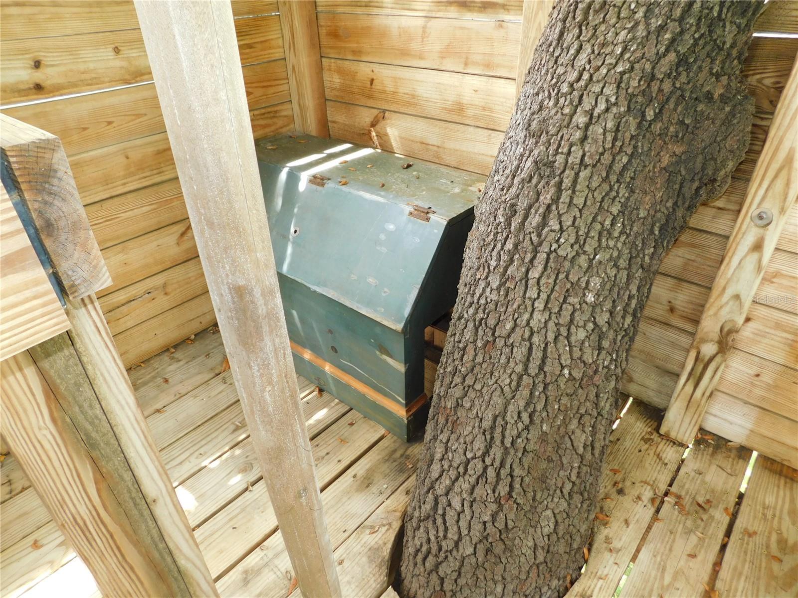 Image 48 of 62 For 155 Marshall Street