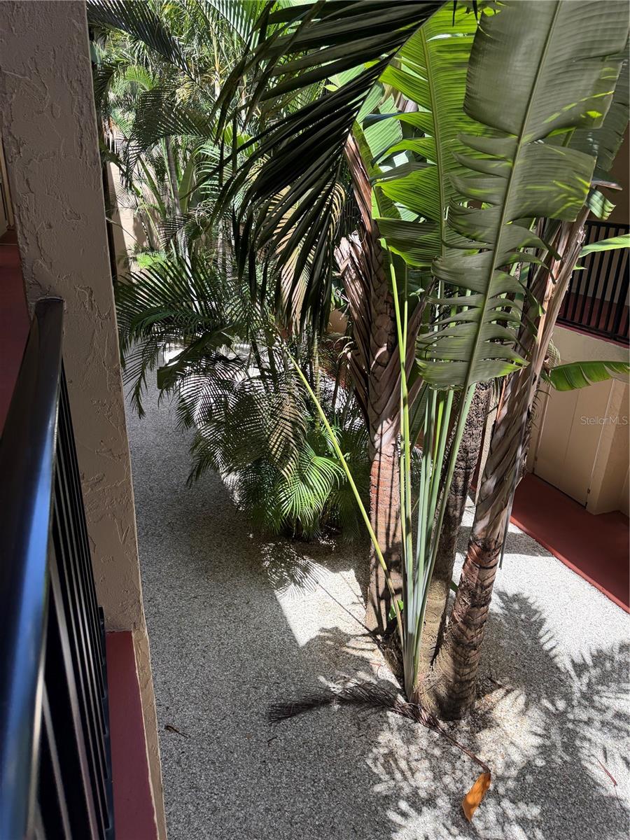 Image 28 of 36 For 3700 Osprey Avenue 205