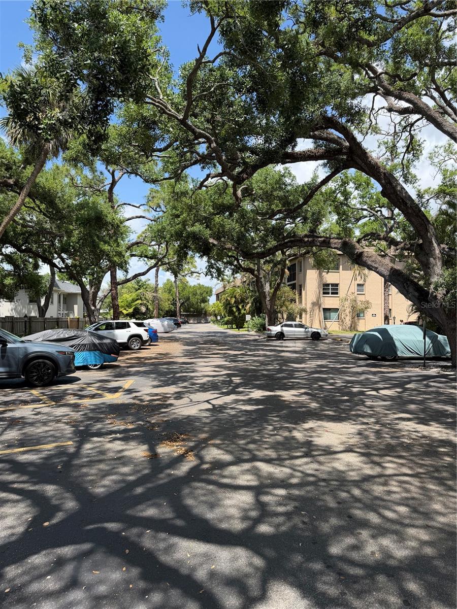 Image 34 of 36 For 3700 Osprey Avenue 205