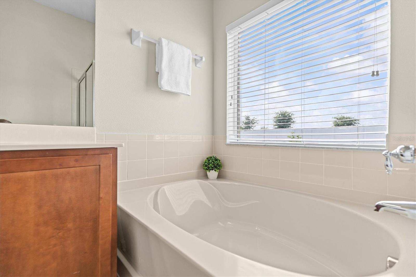 Image 23 of 54 For 601 Nodding Shade Drive