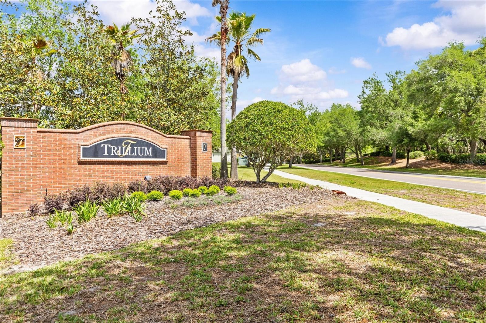 Image 51 of 54 For 601 Nodding Shade Drive