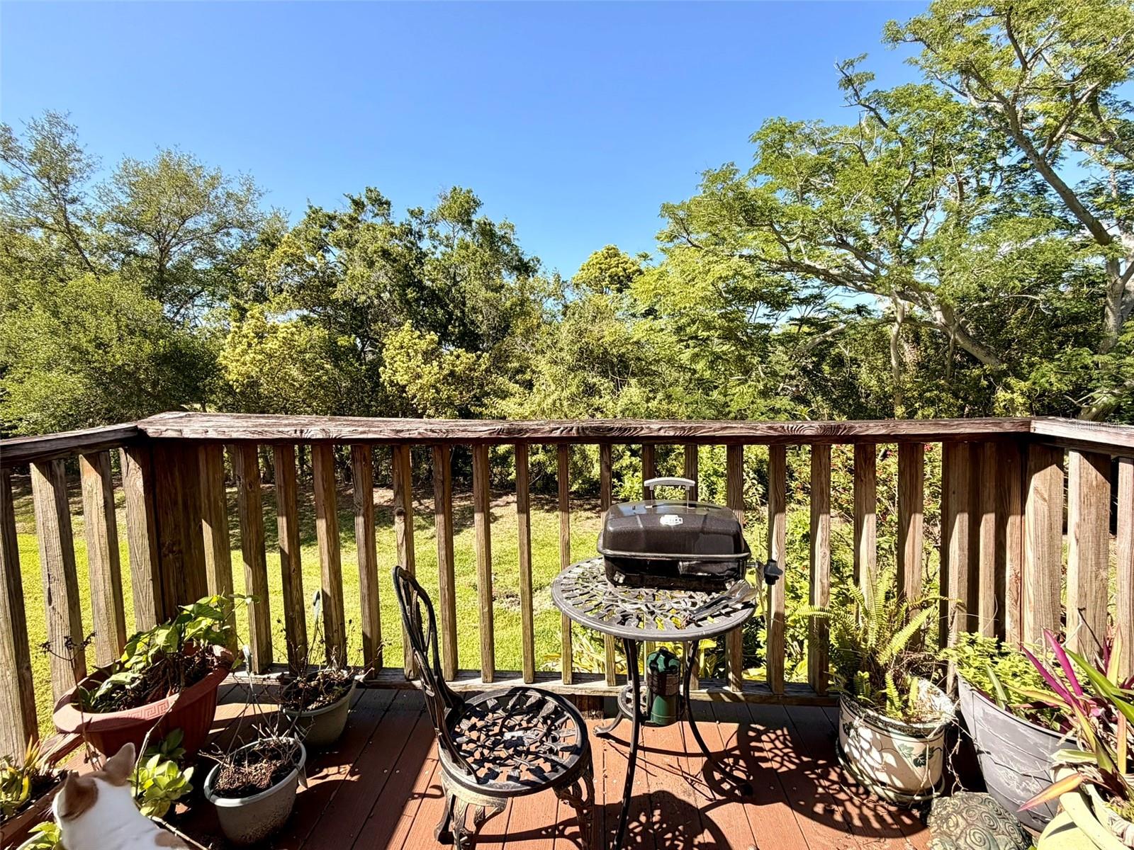 Image 23 of 39 For 1001 Brigadoon Drive