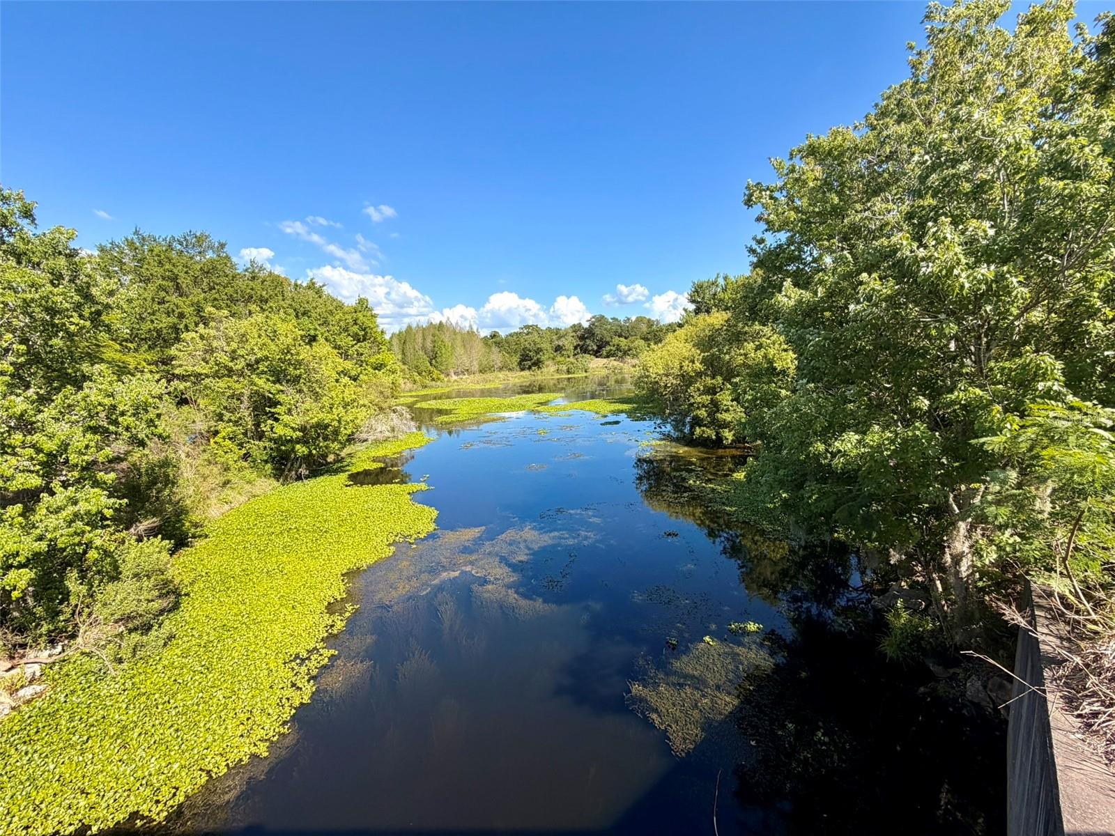 Image 31 of 39 For 1001 Brigadoon Drive